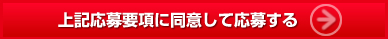 上記応募要項に同意して応募する